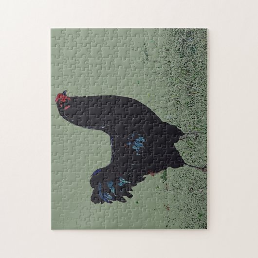 Schwarzes Hühnchen im Gras Art Puzzle (Vertikal)