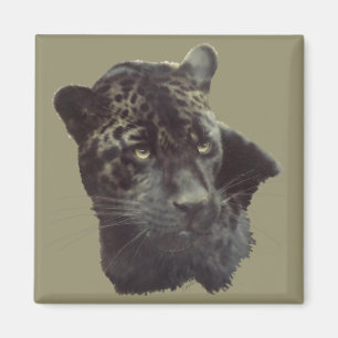 Schwarzes Jaguar Magnet