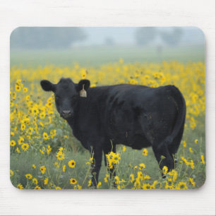 Schwarzes Kalb in einem Feld der Sonnenblumen Mousepad