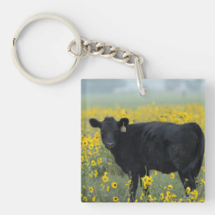 Schwarzes Kalb in einem Feld der Sonnenblumen Schlüsselanhänger