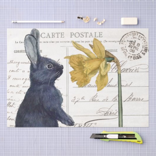 Schwarzes Kaninchen Donodil Osterfeier Blume Posta Seidenpapier (Handwerk)