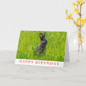 Schwarzes Kaninchen im Gras Geburtskarte Karte (Gelbe Blume)
