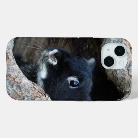 Schwarzes Kaninchen im Hollow eines Baumes Case-Mate iPhone Hülle (Rückseite (Horizontal))