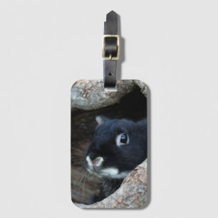 Schwarzes Kaninchen im Hollow eines Baumes Gepäckanhänger