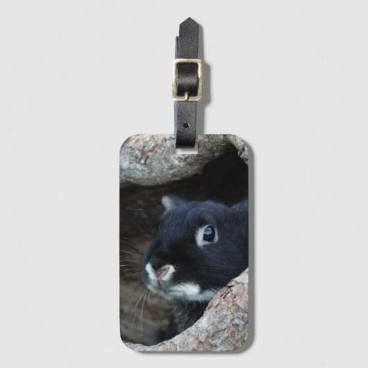 Schwarzes Kaninchen im Hollow eines Baumes Gepäckanhänger (Vorderseite Vertikal)