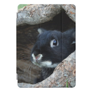 Schwarzes Kaninchen im Hollow eines Baumes iPad Pro Cover