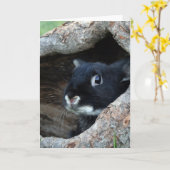 Schwarzes Kaninchen im Hollow eines Baumes Karte (Gelbe Blume)