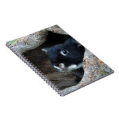 Schwarzes Kaninchen im Hollow eines Baumes Notizblock (Rechte Seite)