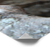 Schwarzes Kaninchen im Hollow eines Baumes Poster (Ecke)