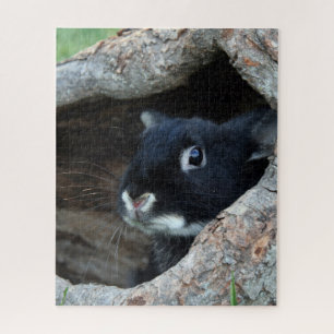 Schwarzes Kaninchen in einer Baumhöhle Foto Puzzle