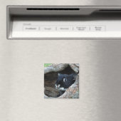 Schwarzes Kaninchen in Hollow eines Baum-Fotos Magnet (In Situ (Geschirrspüler))