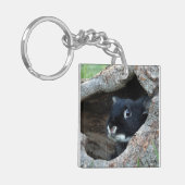 Schwarzes Kaninchen in Hollow eines Baum-Fotos Schlüsselanhänger (Vorderseite links)