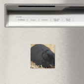 Schwarzes Kaninchen Magnet (In Situ (Geschirrspüler))