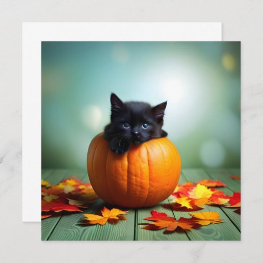 Schwarzes Kätzchen in einem Kürbis (Vorne/Hinten)