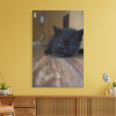Schwarzes Kätzchen Leinwanddruck (Insitu (Wohnzimmer))