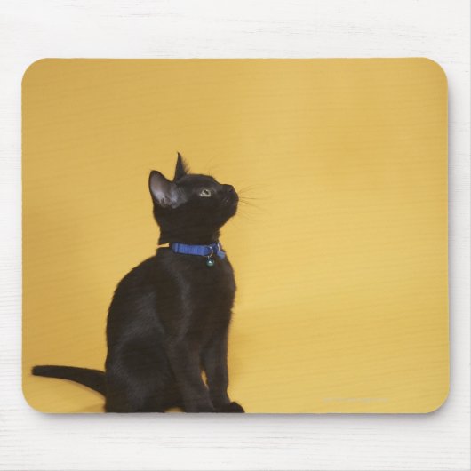 Schwarzes Kätzchen Mousepad (Vorne)