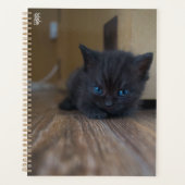 Schwarzes Kätzchen Planer (Vorderseite)