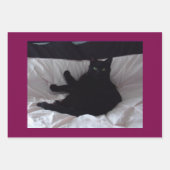 Schwarzes Katzen-Geschenkpapier-Set mit 3 Bögen Geschenkpapier Set (Vorderseite)