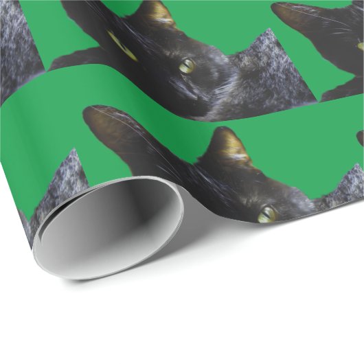 Schwarzes katzengeflecktes glänzendes Wrapping-Pap Geschenkpapier (Rolleneckpunkt)