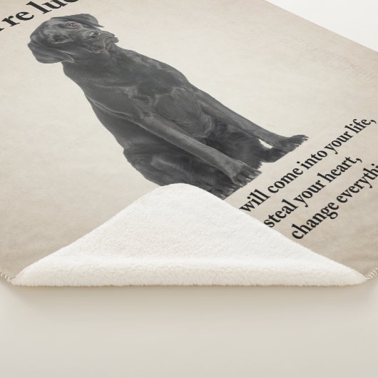 Schwarzes Lab Sherpadecke (3/4)