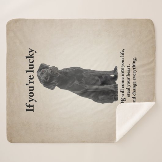 Schwarzes Lab Sherpadecke (Vorderseite (Horizontal))