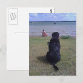 Schwarzes Labor am See Postkarte (Vorne/Hinten)