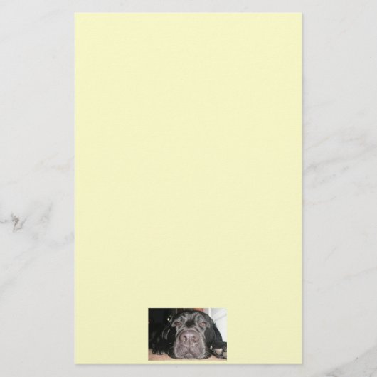 Schwarzes Labor Briefpapier (Vorderseite)