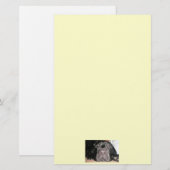 Schwarzes Labor Briefpapier (Vorne/Hinten)