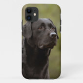 Schwarzes Labor Case-Mate iPhone Hülle (Rückseite)