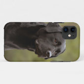 Schwarzes Labor Case-Mate iPhone Hülle (Rückseite (Horizontal))