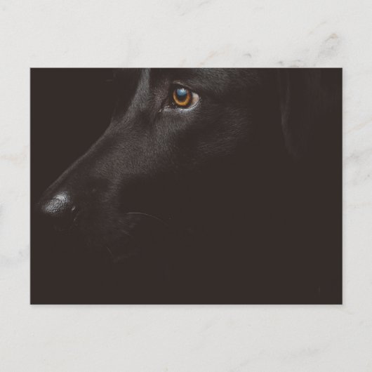 schwarzes Labor Feiertagspostkarte (Vorderseite)