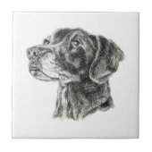 Schwarzes Labor Fliese (Vorderseite)