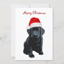 Schwarzes Labor Frohe Weihnachts Labrador Welpe Sa