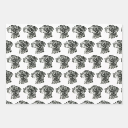 Schwarzes Labor Geschenkpapier Set (Vorderseite 3)