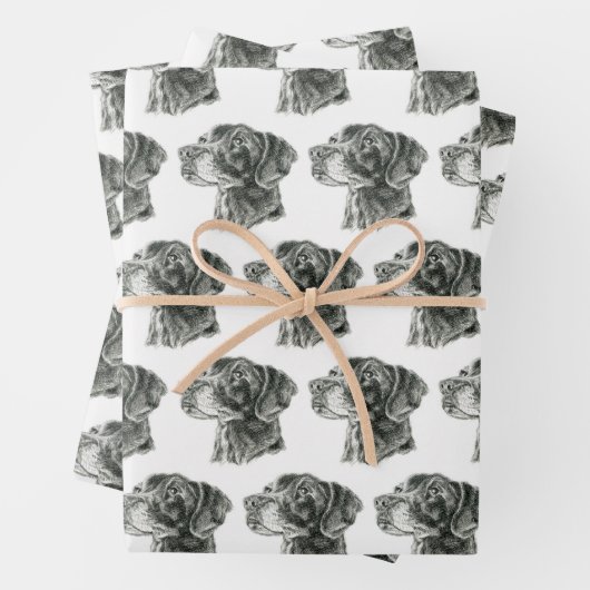 Schwarzes Labor Geschenkpapier Set (Beispiel)