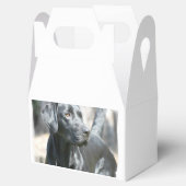 Schwarzes Labor Geschenkschachtel (Geöffnet)