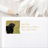 Schwarzes Labor in den Field-Mailing-Labels (Insitu)