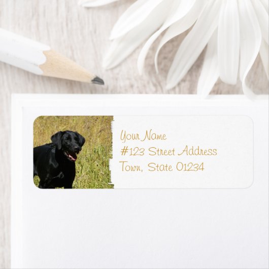 Schwarzes Labor in den Field-Mailing-Labels (Insitu)