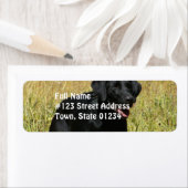 Schwarzes Labor in den Field-Mailing-Labels (Insitu)