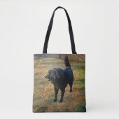 Schwarzes Labor in der Fall Sun-Tasche Tasche (Vorderseite)
