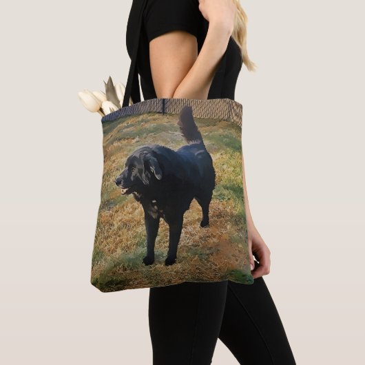 Schwarzes Labor in der Fall Sun-Tasche Tasche (Von Nahem)