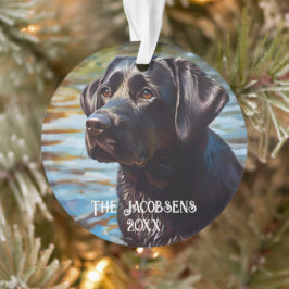 Schwarzes Labor in Wasser Ornament