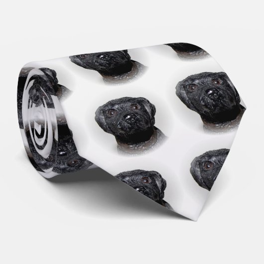 Schwarzes Labor Krawatte (Gerollt)