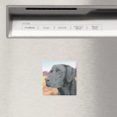 Schwarzes Labor Magnet (In Situ (Geschirrspüler))