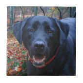 Schwarzes Labor mit Kunstmalerei auf Jagdhunde Fliese (Vorderseite)