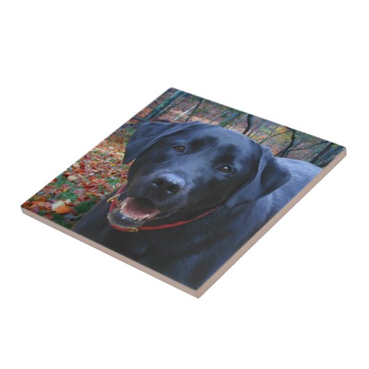 Schwarzes Labor mit Kunstmalerei auf Jagdhunde Fliese (Seite)