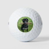 Schwarzes Labor mit zwei Sticks Dog Personalisiert Golfball (Vorderseite)