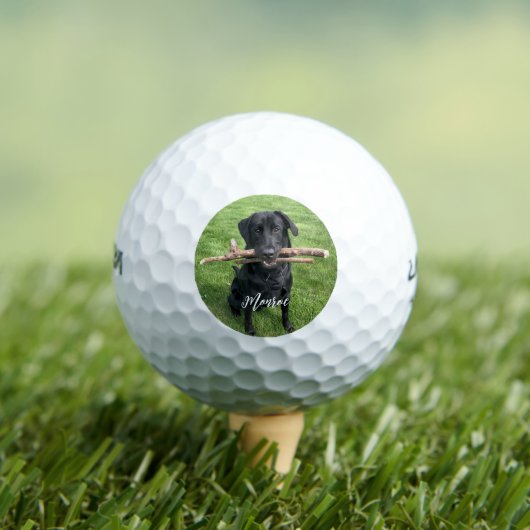 Schwarzes Labor mit zwei Sticks Dog Personalisiert Golfball (Insitu T-Shirt)