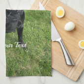 Schwarzes Labor mit zwei Sticks Foto und Name des  Geschirrtuch (Viertel Falte)