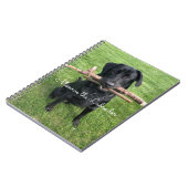 Schwarzes Labor mit zwei Sticks Foto und Name des Notizblock (Linke Seite)